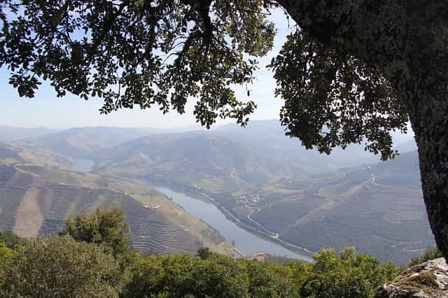 Oporto en 3 días - Douro