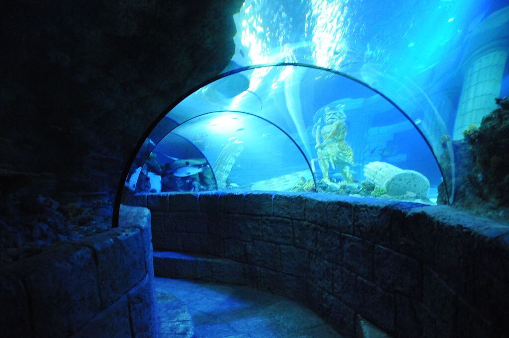 SEA LIFE Porto Cavalos-Marinhos