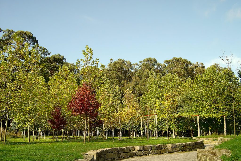 Parque de la ciudad de Oporto