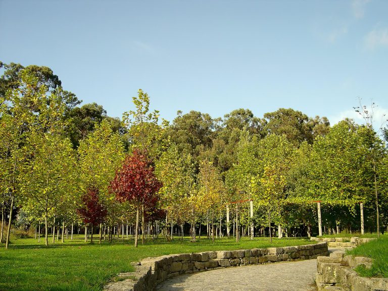 Parque de la ciudad de Oporto - Parque da Cidade do Porto - Porto City Park