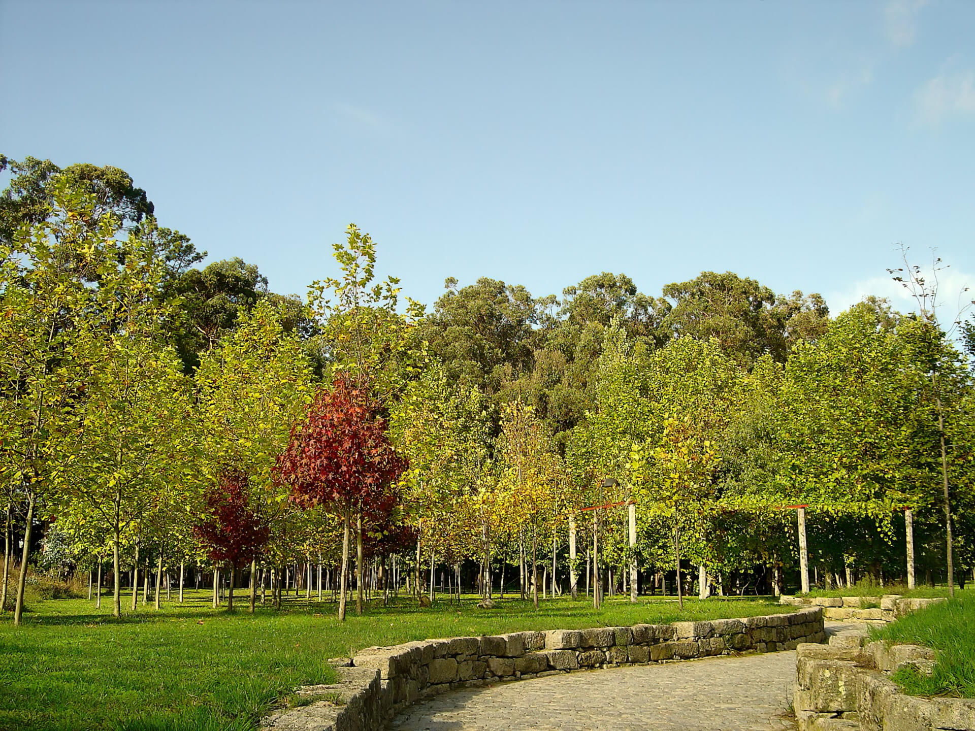 Parque da Cidade do Porto