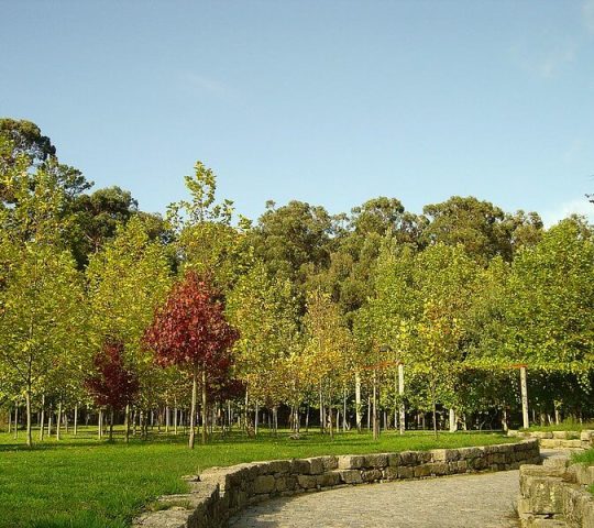 Parque de la Ciudad de Oporto