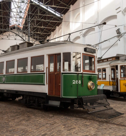 Descubra el Museo FC Porto: Un Viaje Épico entre el Museo y el Estádio do Dragão