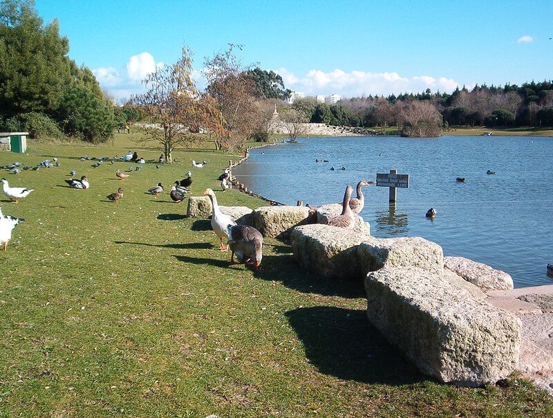 Parque de la ciudad de Oporto - Parque da Cidade do Porto - Porto City Park