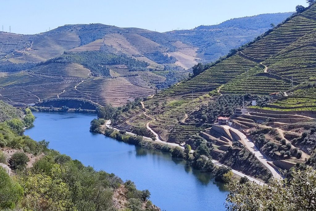 Vinos del Douro