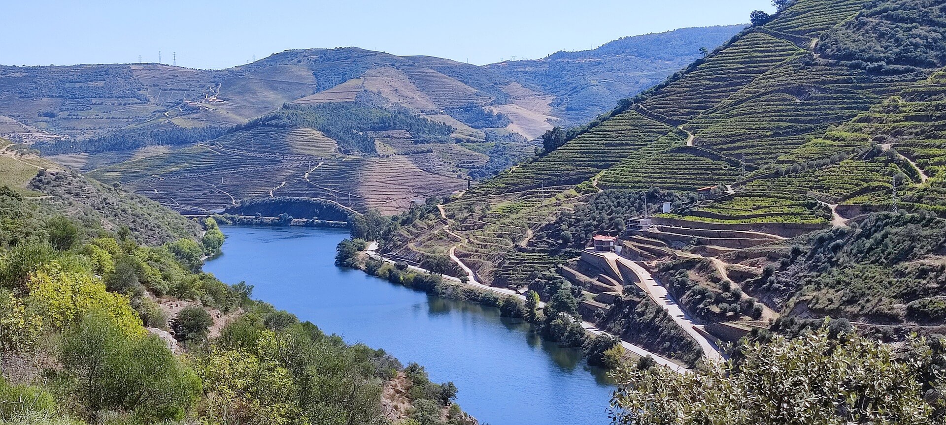 Vinos del Douro