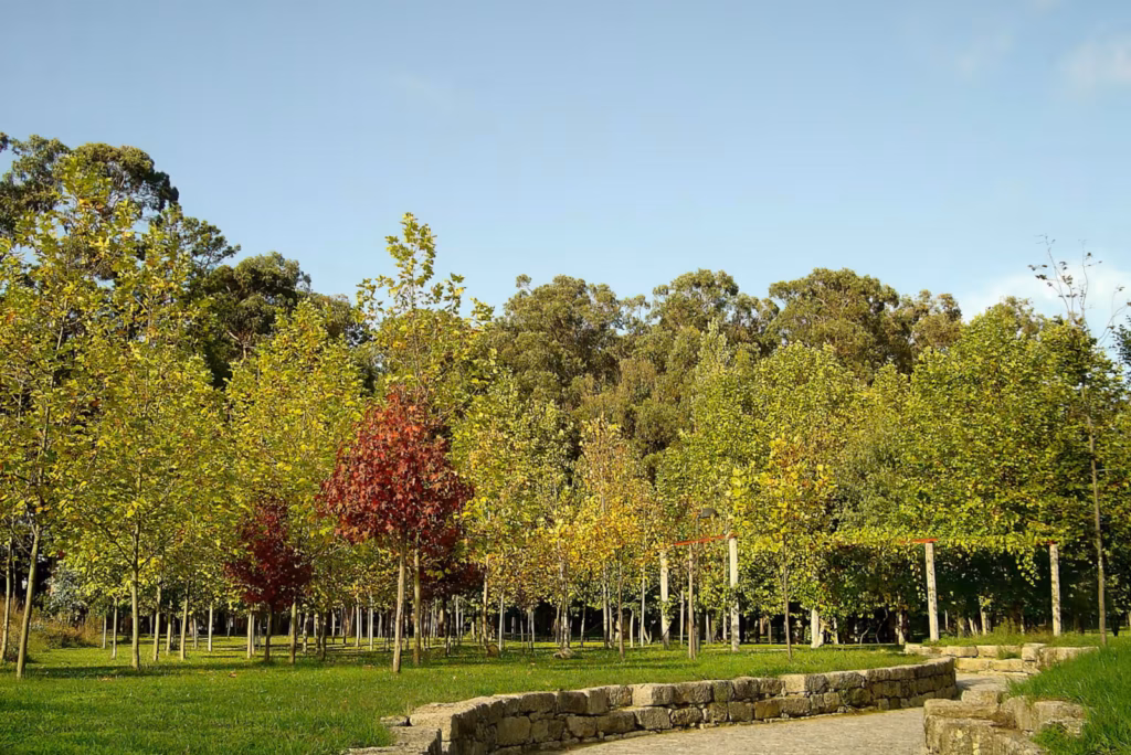 Parque de la ciudad de Oporto