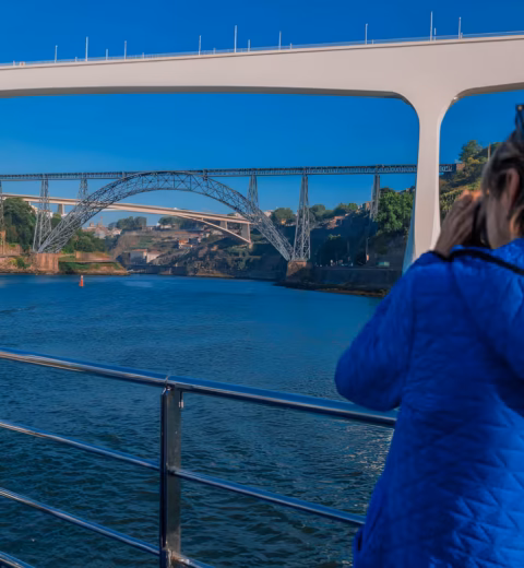 Crucero de los 6 Puentes — Paseos y Experiencias Fluviales