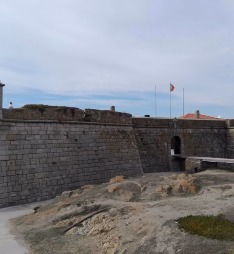 Parque da Cidade do Porto