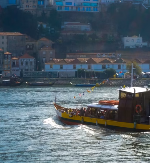 17 Cosas que hacer si visitas Oporto con niños