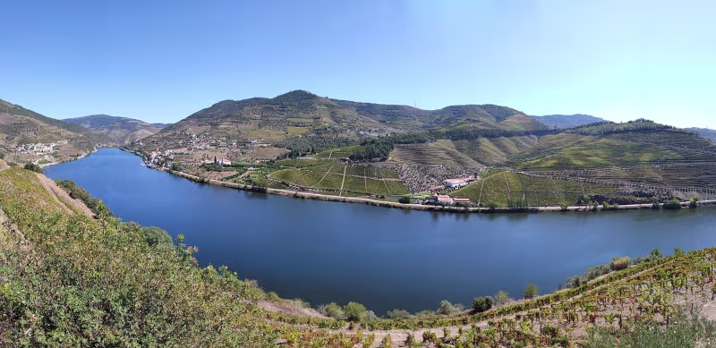 Vinhos do Douro - Vinos del Douro - Douro Wines - Vale do Douro - Douro Valley - Valle del Duero - Valle del Douro
